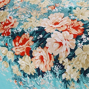 黑土大雷漫画在哪看
