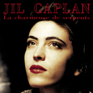 黑土大雷漫画在哪看
